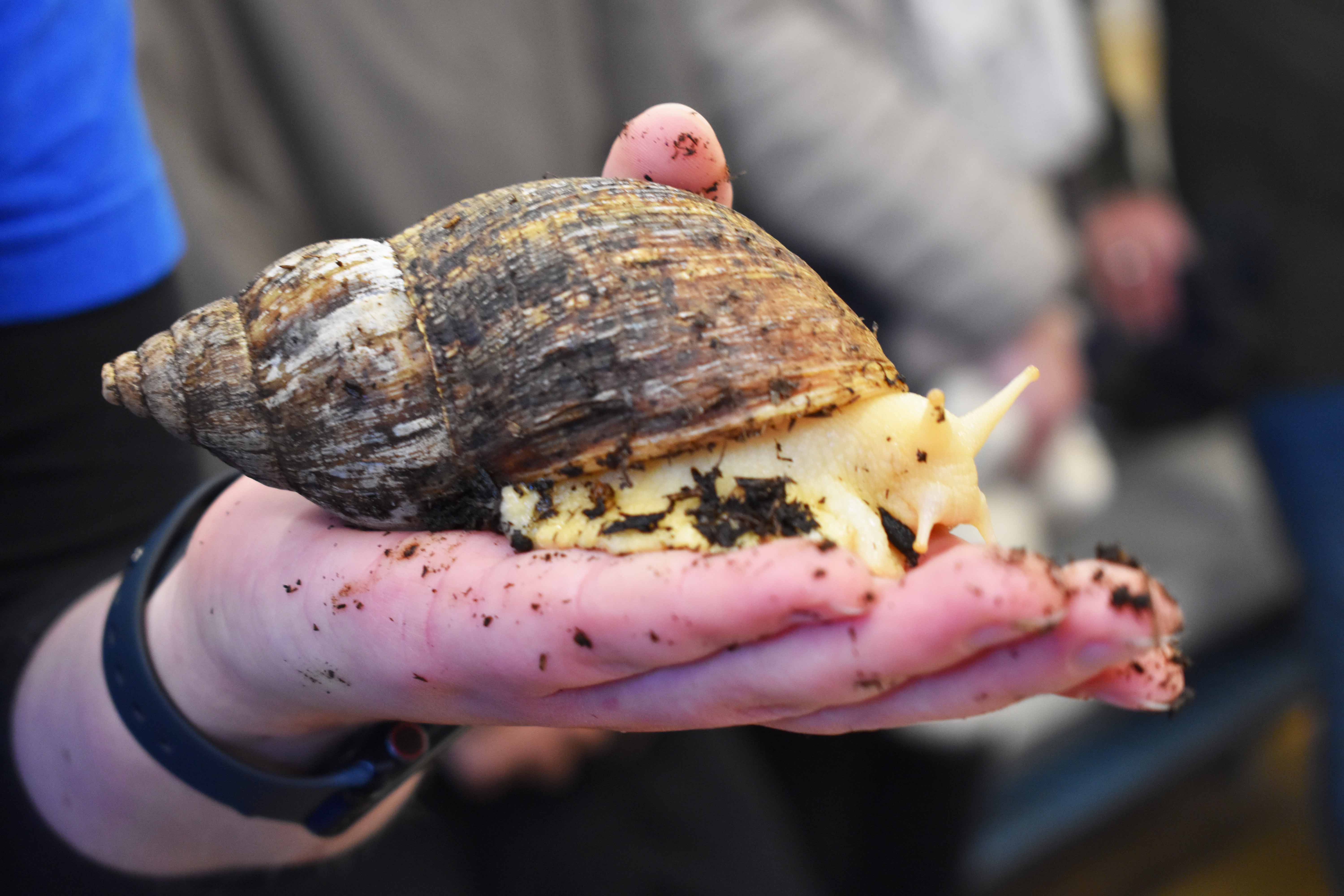 Til Åbent Hus 2026 var der i Vranderup oplæg om snegle og slanger