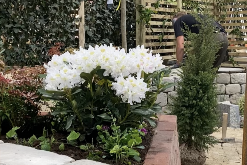 Elever på uddannelsen til anlægsgartner anlægger flotte uderum med belægningssten, planter og blomster.