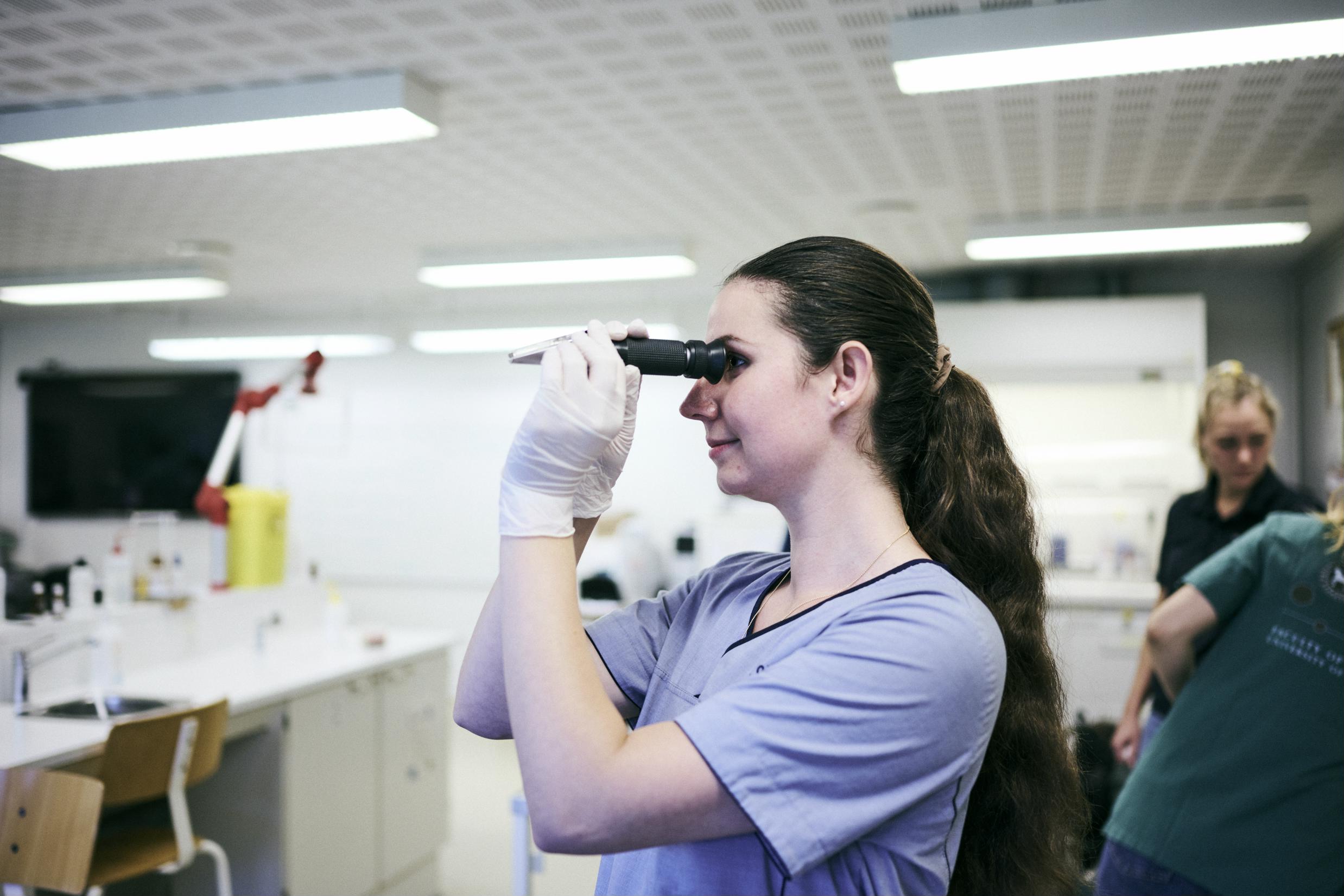 En elev på veterinærsygeplejerskeuddannelsen nærstuderer en prøve i laboratoriet på Hansenberg.