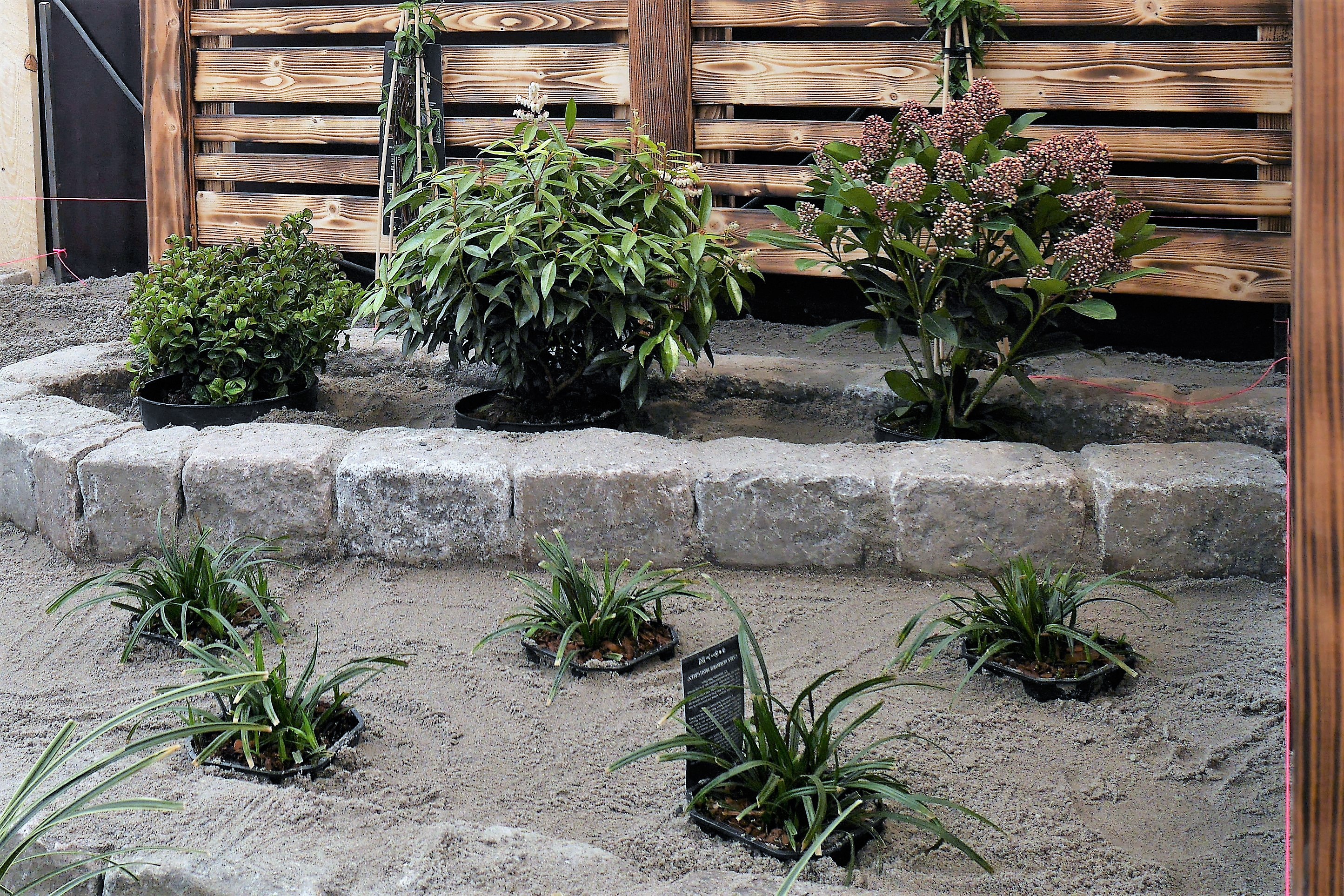 En anlægsgartnerlærling har har anlagt denne dette bed, nu skal planterne blot gro til.