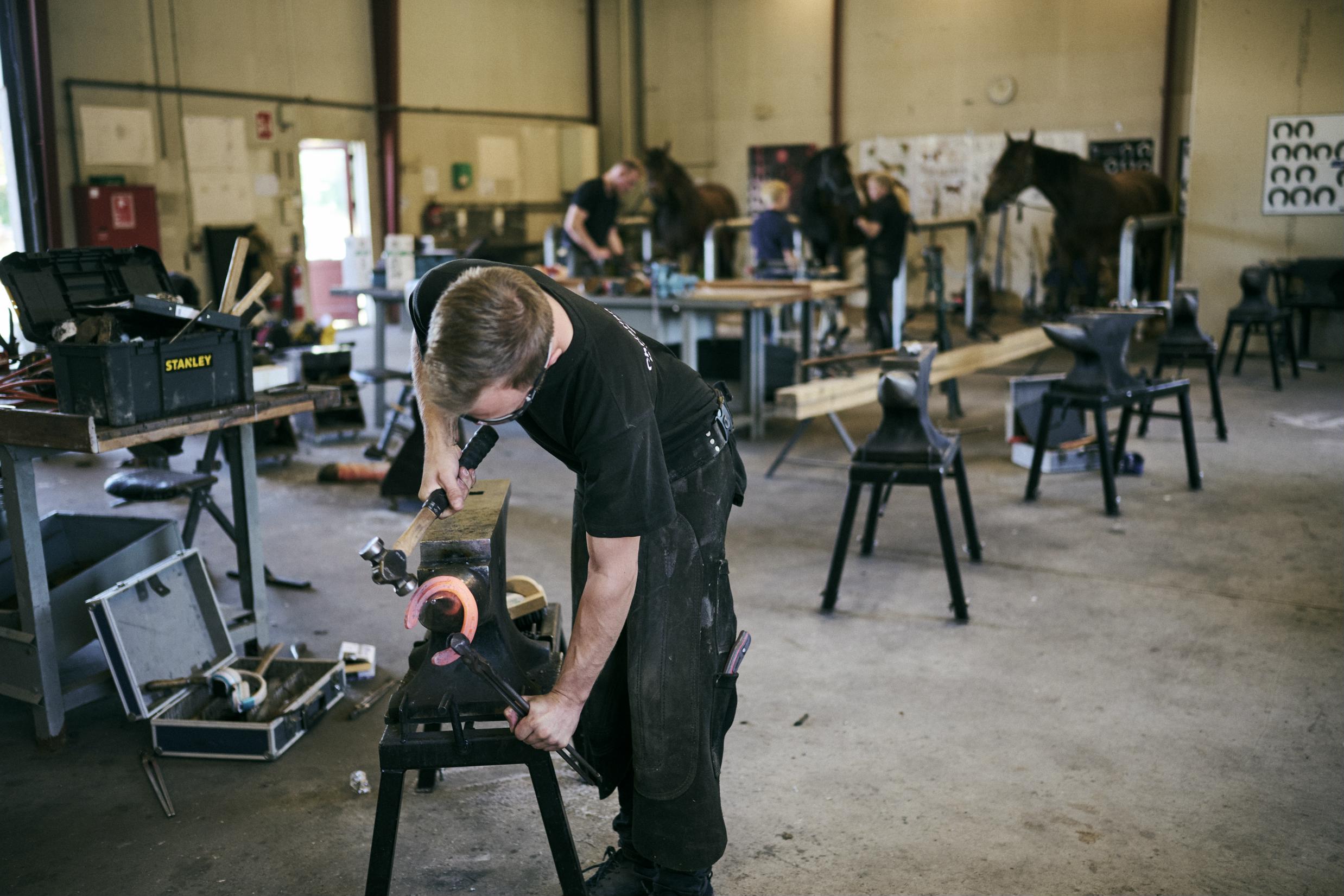 En beslagsmedelærling hamrer på en gloende varm hestesko i skolens beslagsmedje.
