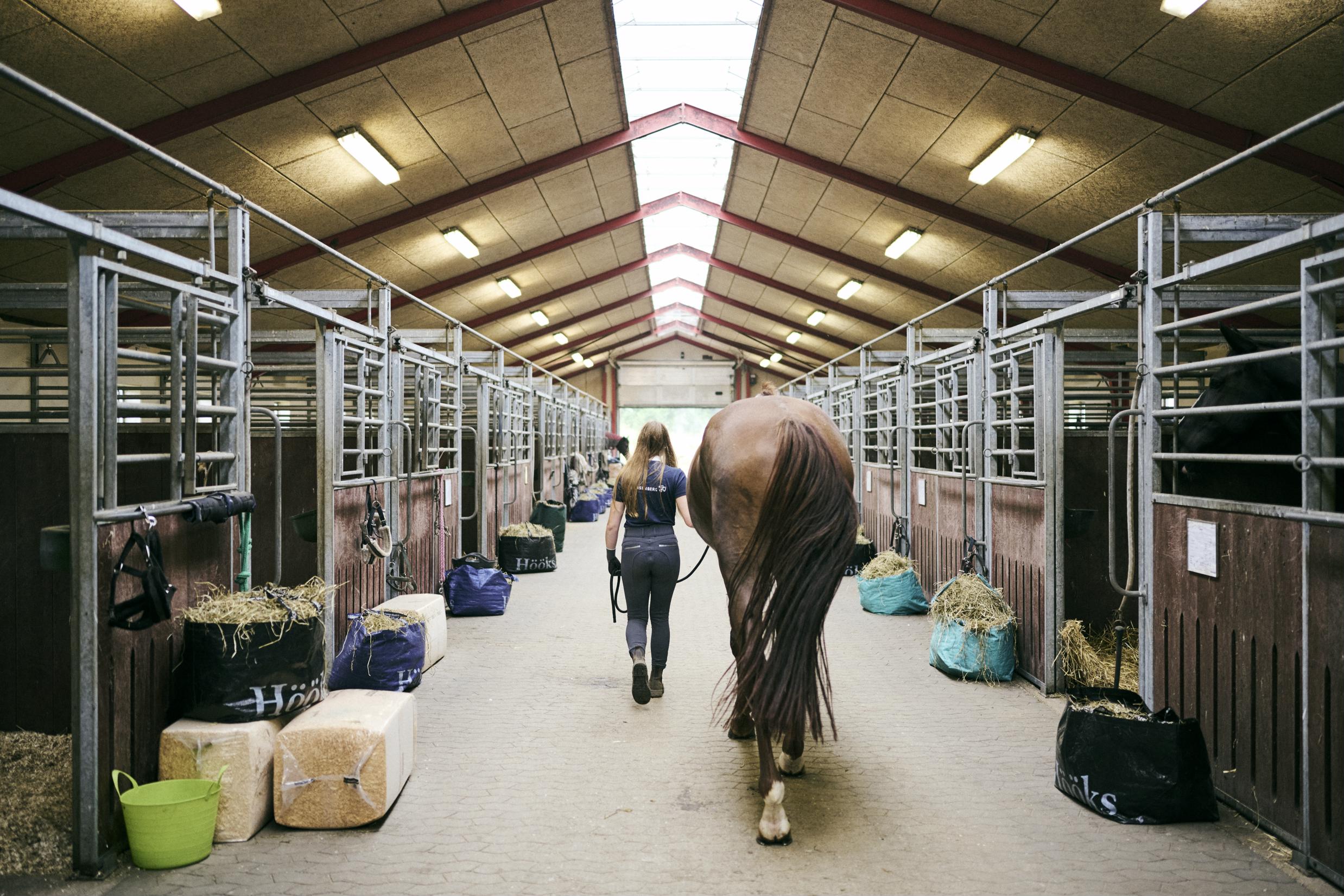 Når 5.-10. klasseseleverne deltager i Pas på dyrene SommerCamp, prøver de også kræfter med dagligdagen i en hestestald.