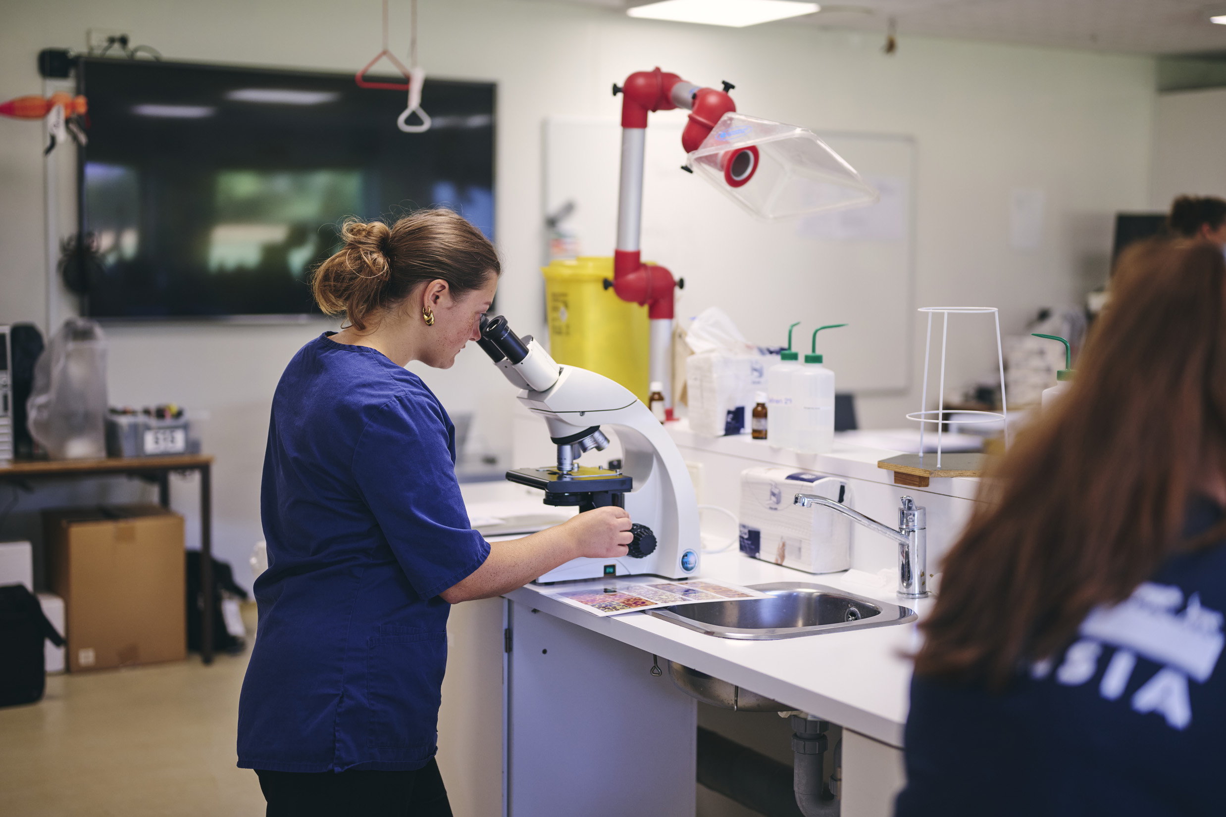 To veterinærsygeplejerskeelever studerer nogle prøver under mikroskopet i skolens laboratorium.