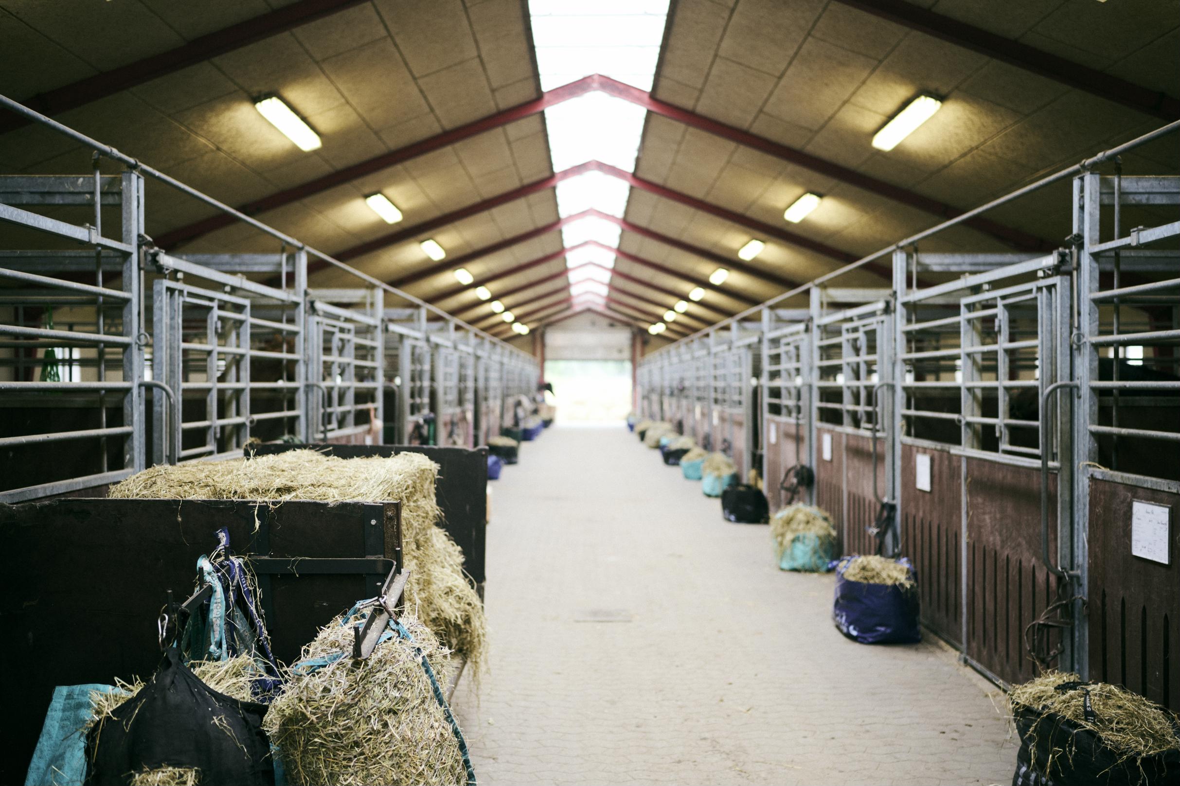 Hansenbergs hestestald - går du på en af Organias uddannelser, har du mulighed for at at få den hest opstaldet her.