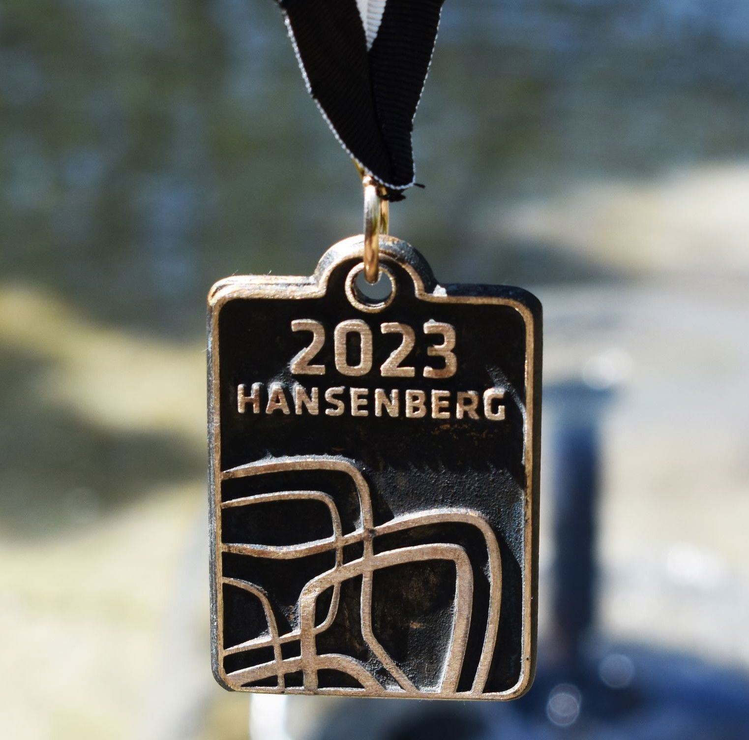 Sådan ser Hansenberg-medaljen ud. Den flotte medalje er udført af kunstner Henrik Fischer-Nielsen fra Sdr. Stenderup.