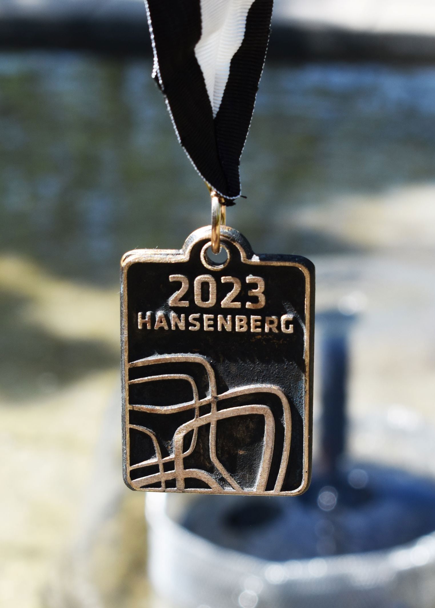 Sådan ser Hansenberg-medaljen ud. Den flotte medalje er udført af kunstner Henrik Fischer-Nielsen fra Sdr. Stenderup.