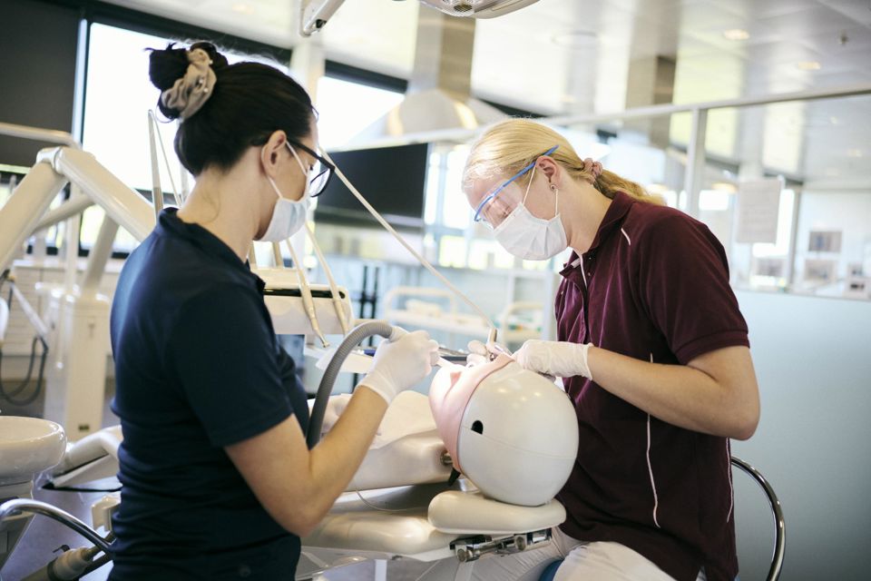 Tandklinikassistenteleverne øver bl.a. i at bruge sug og rense tænder på en tanddukke i Hansenbergs tandklinik.