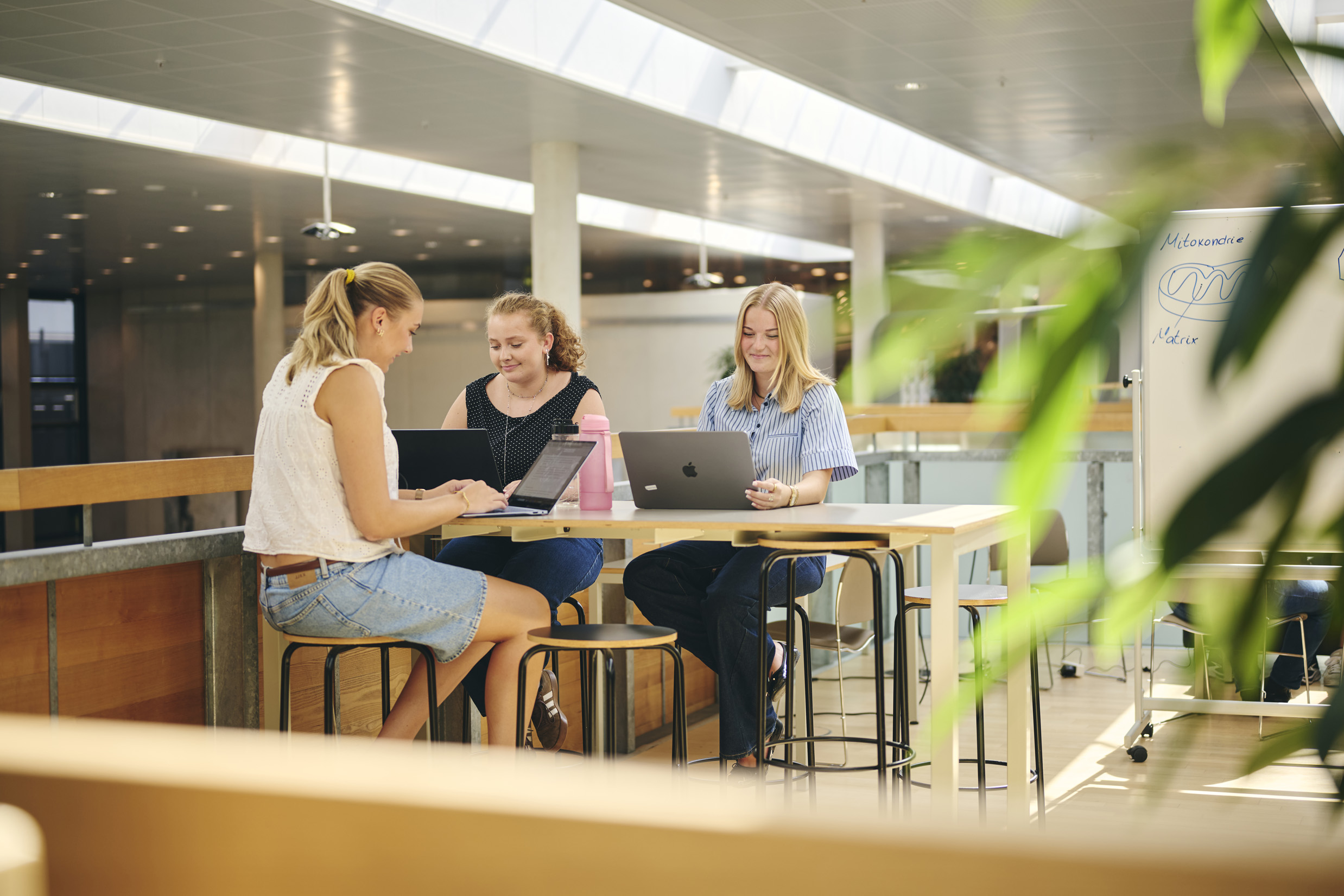 Tre piger på Hansenberg Tekniske Gymnasium har gruppearbejde og sidder på 'øen', hvor der er udsigt over bistroen.