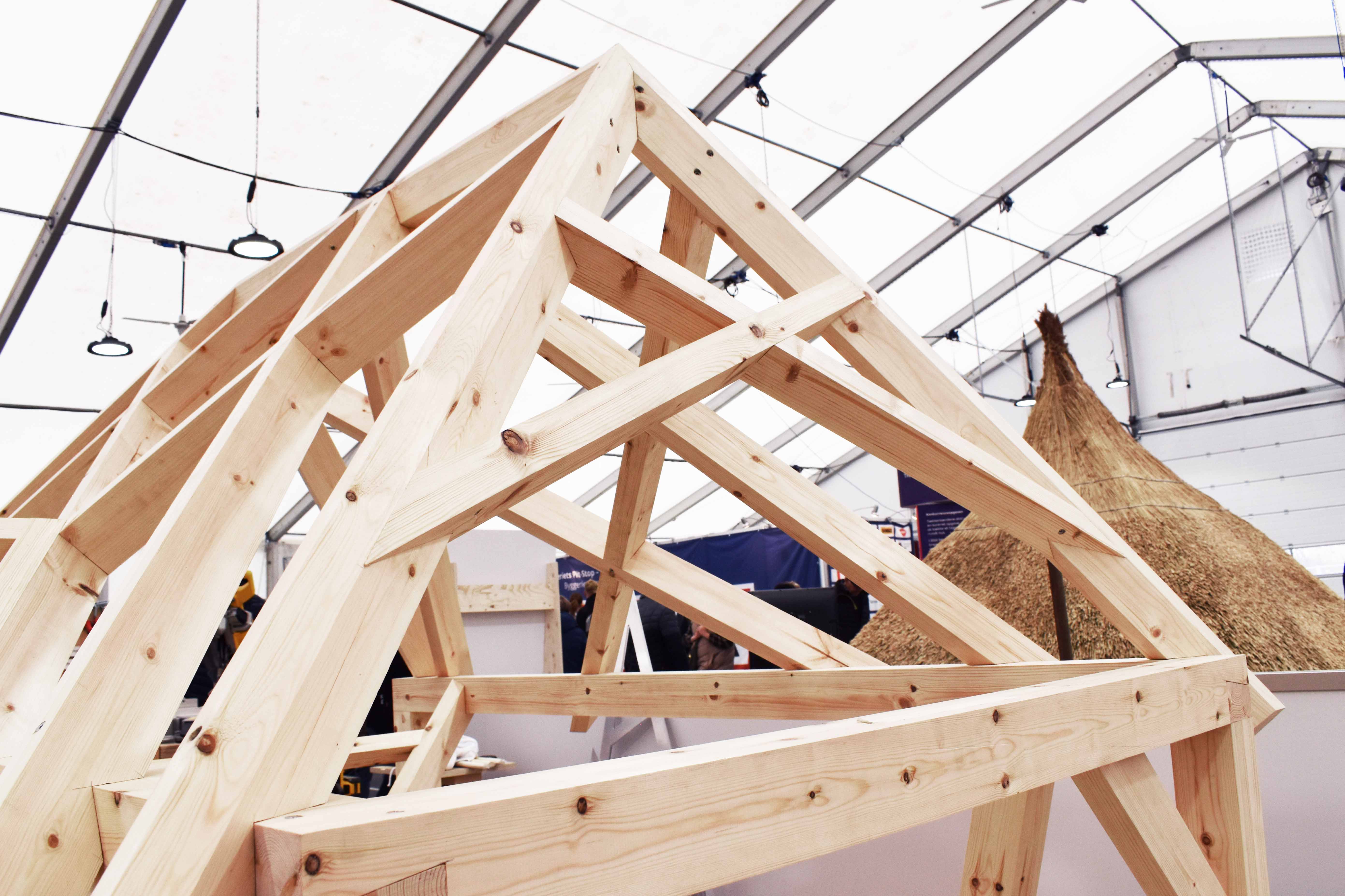 Emil Andersen er tømrerlærling og på tømrerlandsholdet, og han vandt Arbejdsmiljøprisen ved DM i Skills 2026.