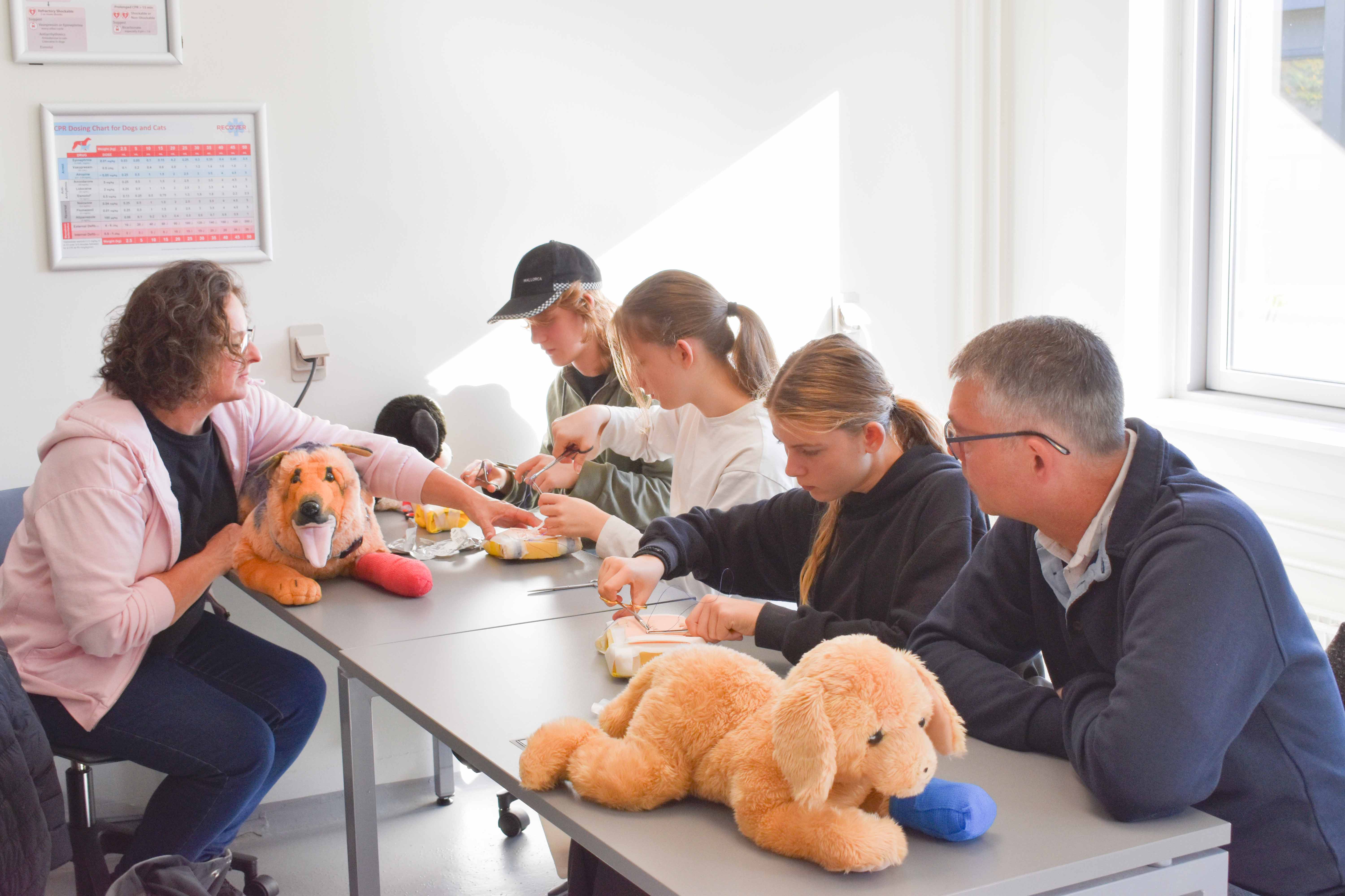 For første gang var uddannelsen til veterinærsygeplejerske med ved Prøv et fag.