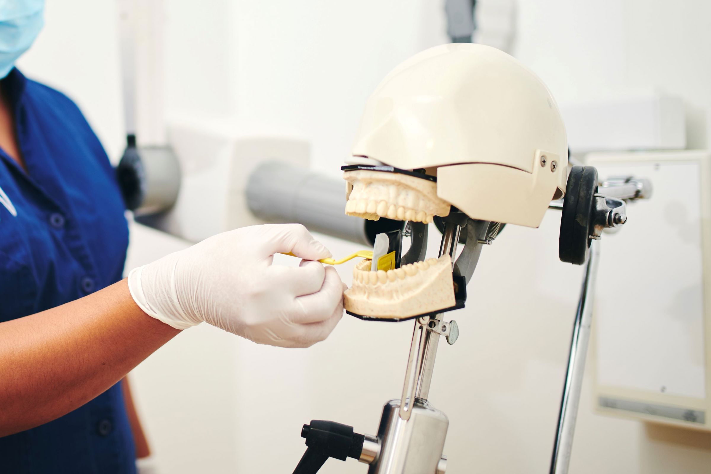 En elev på tandklinikassistentuddannelsen gør klar til at tage røntgenbillede af et kunstigt tandsæt i skolens tandklinik.